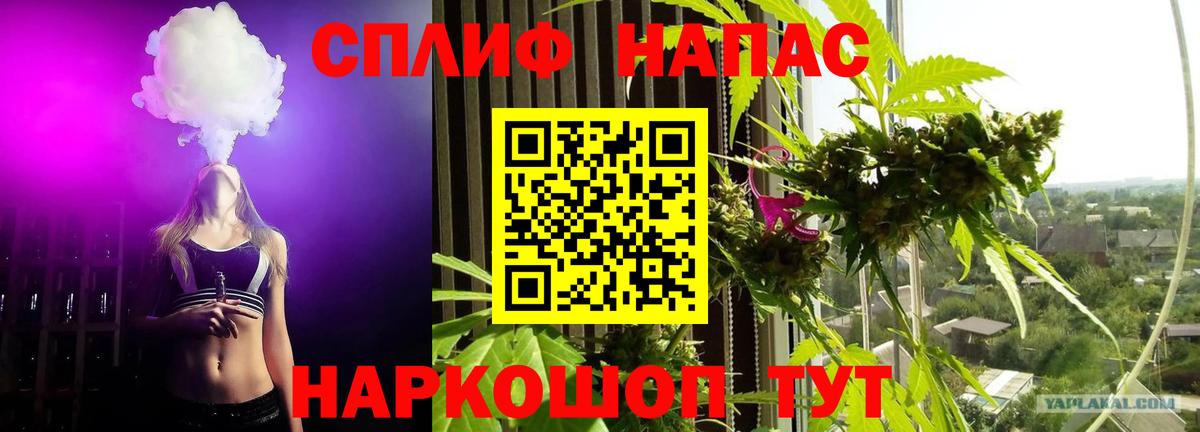 Бошки Шишки ГИДРОПОН  Вход с VPN  Конопля гибрид  Каннабис OG Kush  Новошахтинск  Бошки Шишки Bruce Banner 